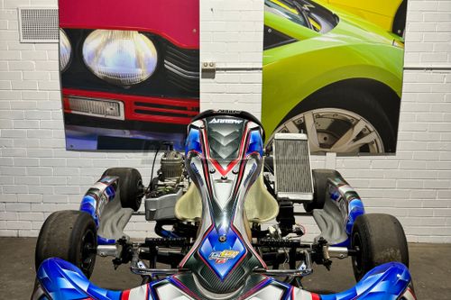 2 x Arrow X30 Go-Karts with Custom Trailer