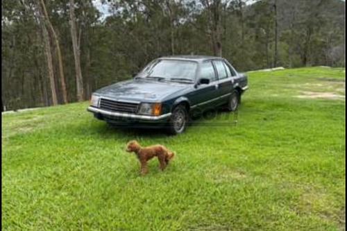 1980 Holden Commodore vb sl/e