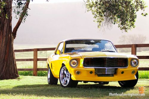 1968 Ford Mustang - Heart, Body and Soul